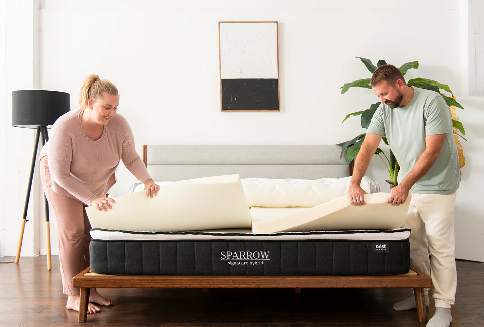 Build Your Dream Sanctuary Today